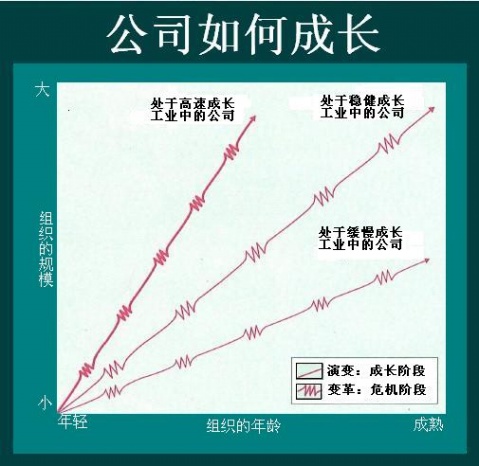 经典：组织成长中的演变和变革 - 刘文瑞 -               刘文瑞的博客